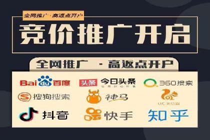 百度竞价排名案例解析：如何快速提升网站流量